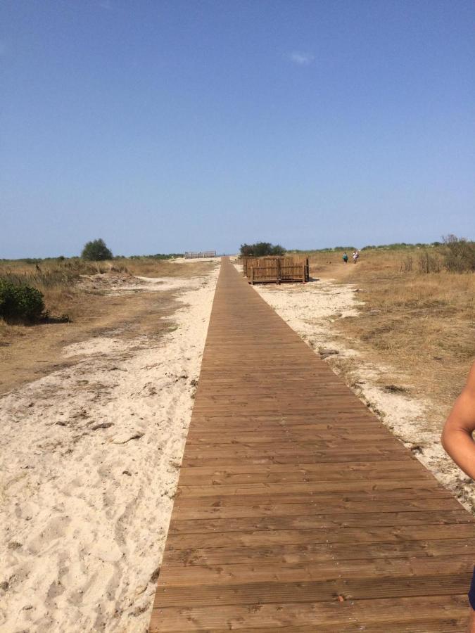 Friesenmoewe Daire Horumersiel Dış mekan fotoğraf